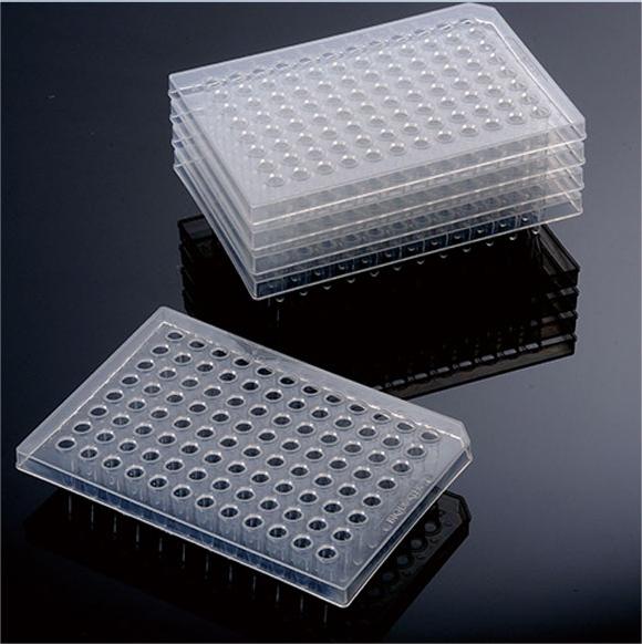 PCR 板