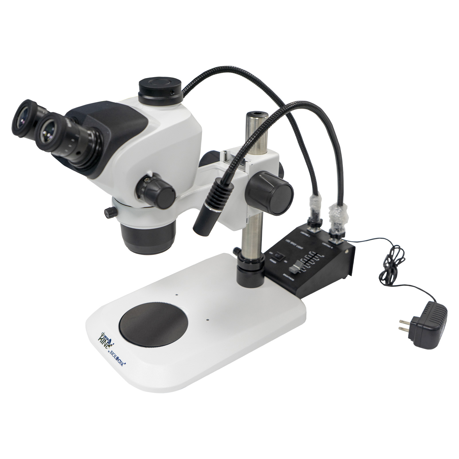 体式三目显微镜-外置双鹅管光源